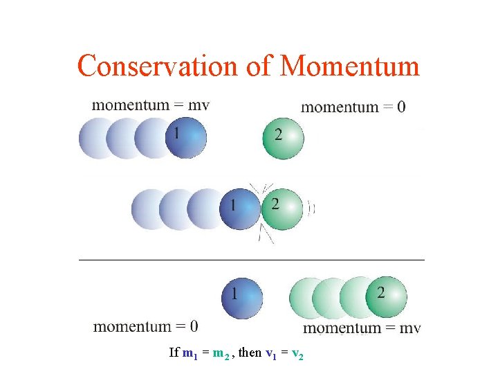 Conservation of Momentum If m 1 = m 2 , then v 1 =