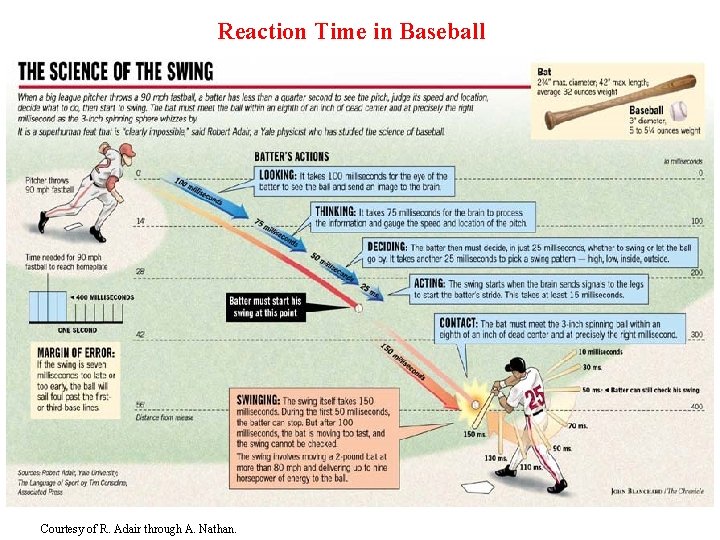 Reaction Time in Baseball Courtesy of R. Adair through A. Nathan. 