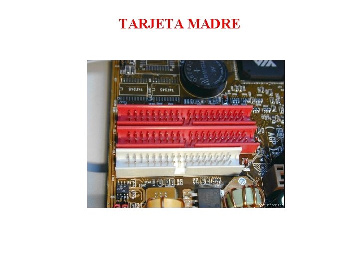 TARJETA MADRE TARJETA MADRE