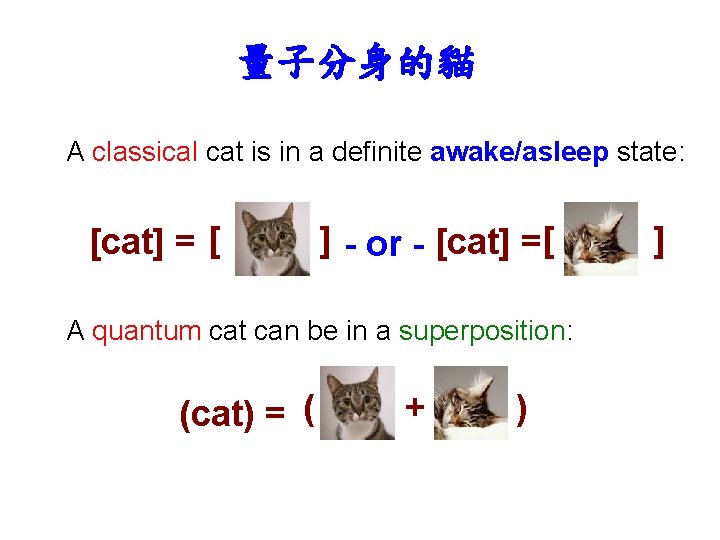 量子分身的貓 A classical cat is in a definite awake/asleep state: [cat] = [ ]