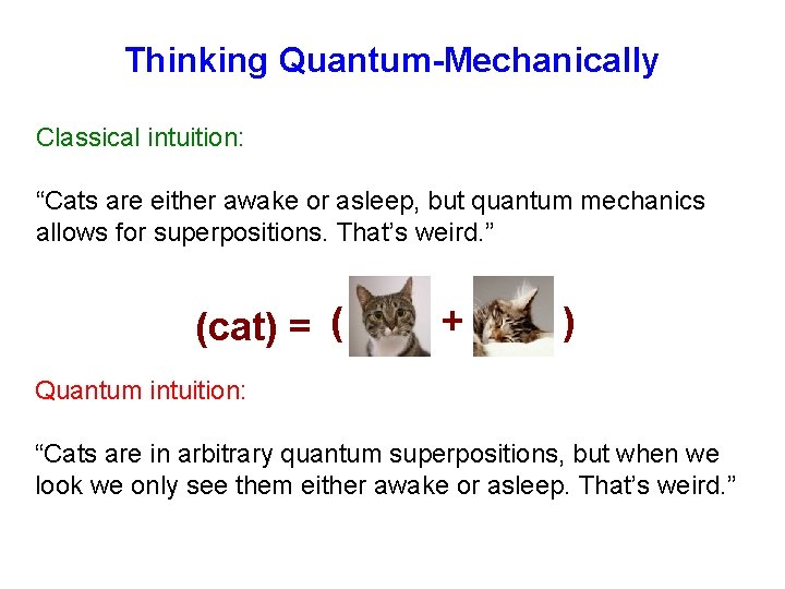 Thinking Quantum-Mechanically Classical intuition: “Cats are either awake or asleep, but quantum mechanics allows