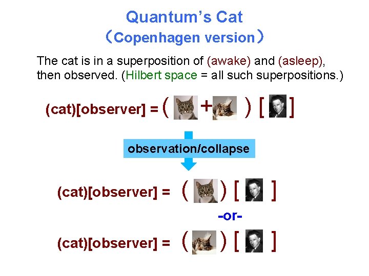 Quantum’s Cat （Copenhagen version） The cat is in a superposition of (awake) and (asleep),