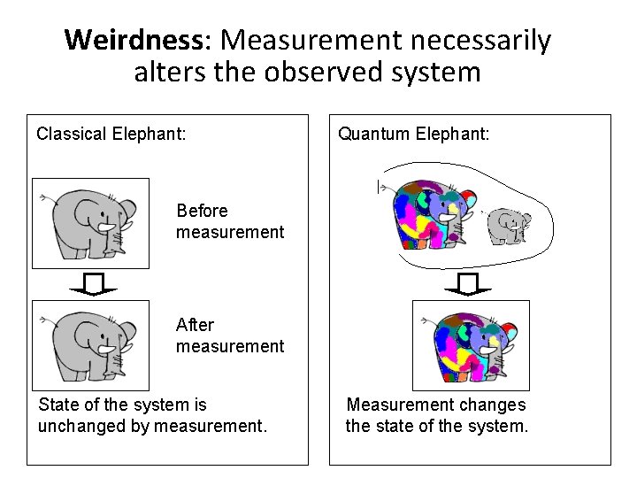 Weirdness: Measurement necessarily alters the observed system Classical Elephant: Quantum Elephant: Before measurement After