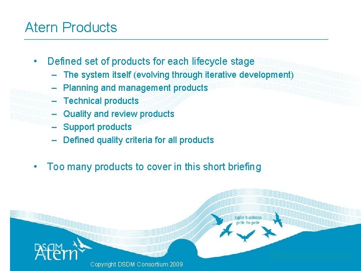 Atern Products • Defined set of products for each lifecycle stage – – –