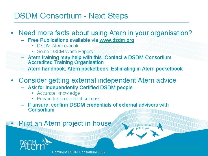 DSDM Consortium - Next Steps • Need more facts about using Atern in your