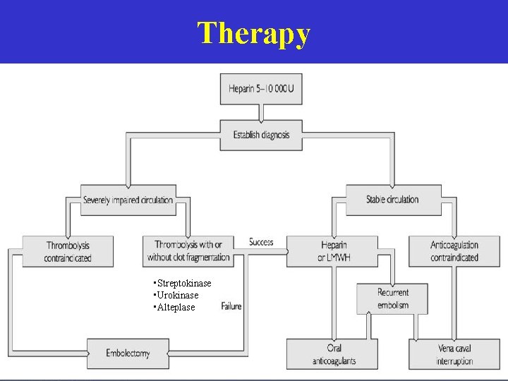 Therapy • Streptokinase • Urokinase • Alteplase  Therapy • Streptokinase • Urokinase • Alteplase