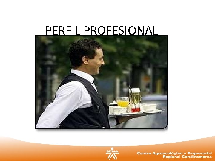 PERFIL PROFESIONAL PERFIL PROFESIONAL