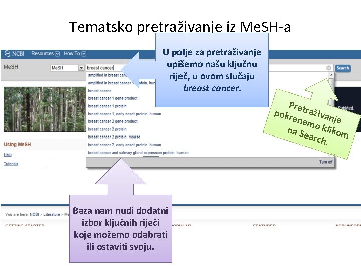 Tematsko pretraživanje iz Me. SH-a U polje za pretraživanje upišemo našu ključnu riječ, u