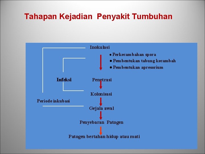 Tahapan Kejadian Penyakit Tumbuhan Inokulasi Perkecambahan spora Pembentukan tabung kecambah Pembentukan apresorium Infeksi Penetrasi