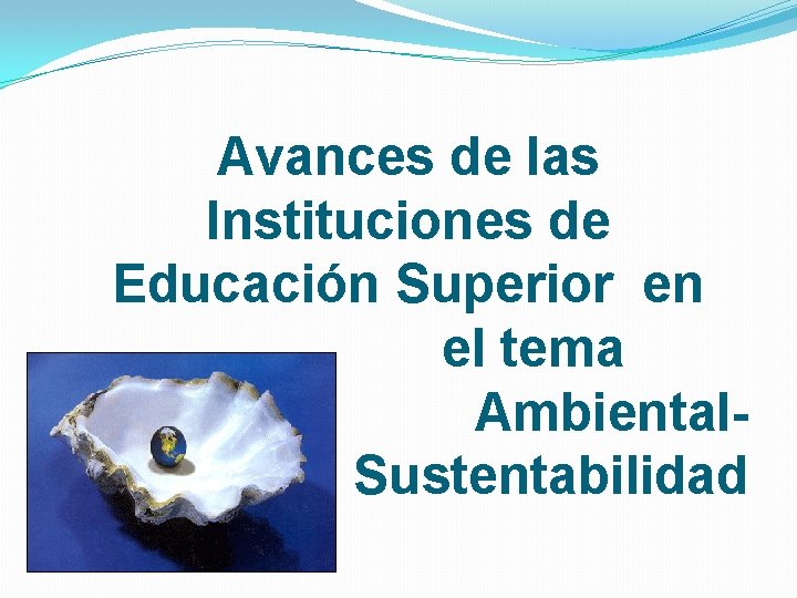 Avances de las Instituciones de Educación Superior en el tema Ambiental- Sustentabilidad 