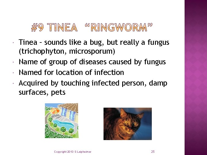  Tinea – sounds like a bug, but really a fungus (trichophyton, microsporum) Name