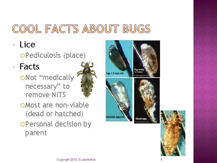  Lice Pediculosis (place) Facts Not “medically necessary” to remove NITS Most are non-viable