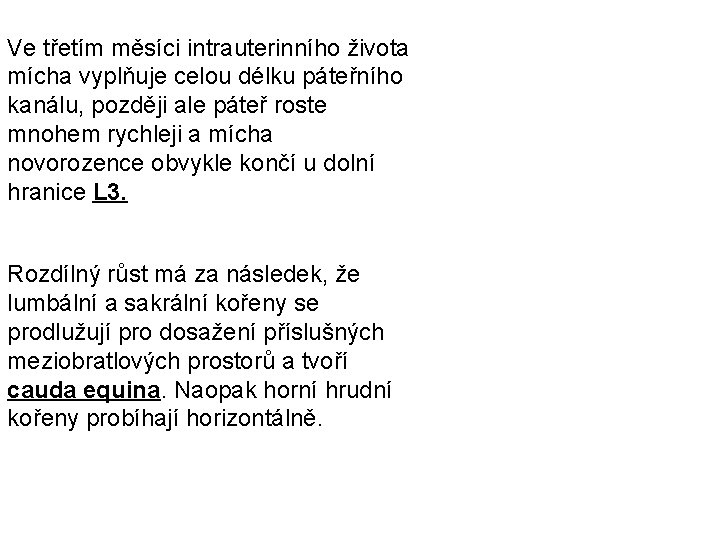 Ve třetím měsíci intrauterinního života mícha vyplňuje celou délku páteřního kanálu, později ale páteř