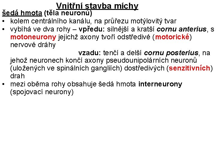 Vnitřní stavba míchy šedá hmota (těla neuronů) • kolem centrálního kanálu, na průřezu motýlovitý