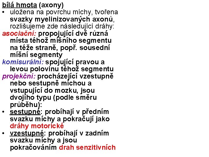 bílá hmota (axony) • uložena na povrchu míchy, tvořena svazky myelinizovaných axonů, rozlišujeme zde