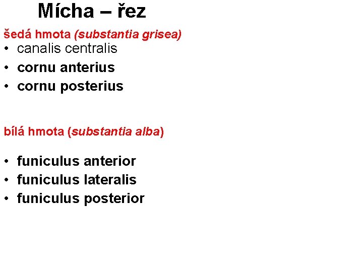 Mícha – řez šedá hmota (substantia grisea) • canalis centralis • cornu anterius •