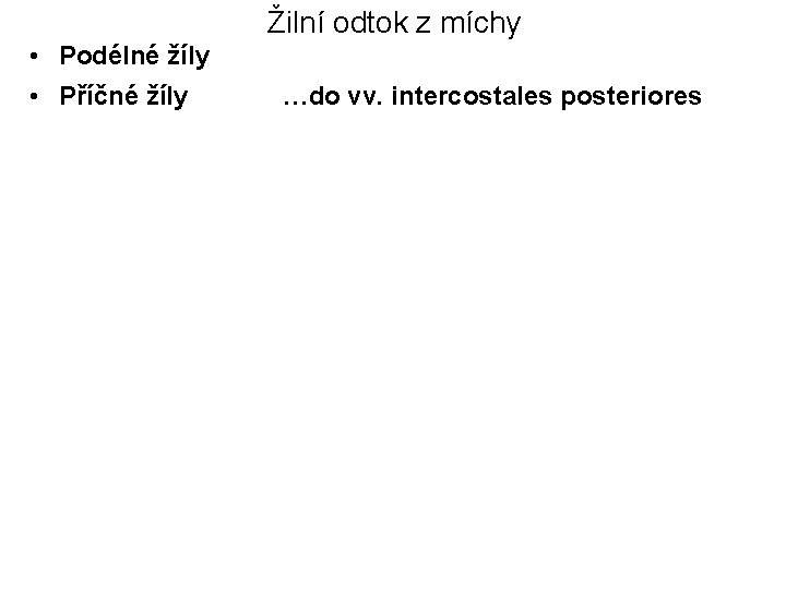 Žilní odtok z míchy • Podélné žíly • Příčné žíly …do vv. intercostales posteriores