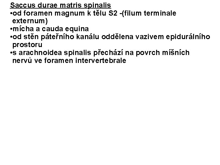 Saccus durae matris spinalis • od foramen magnum k tělu S 2 -(filum terminale