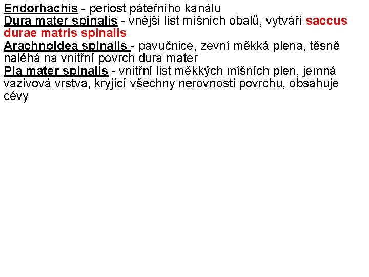 Endorhachis - periost páteřního kanálu Dura mater spinalis - vnější list míšních obalů, vytváří