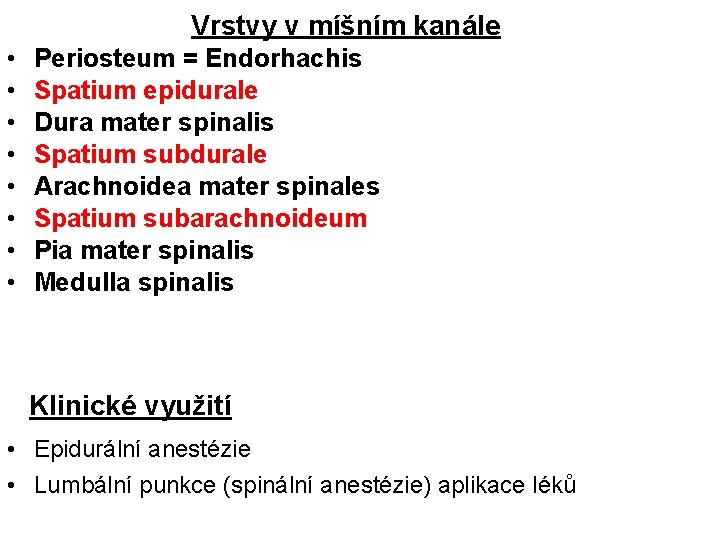 Vrstvy v míšním kanále • • Periosteum = Endorhachis Spatium epidurale Dura mater spinalis