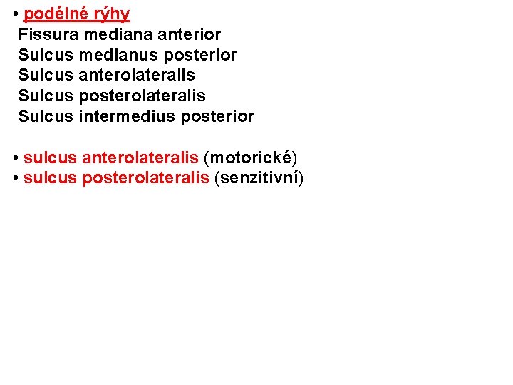  • podélné rýhy Fissura mediana anterior Sulcus medianus posterior Sulcus anterolateralis Sulcus posterolateralis