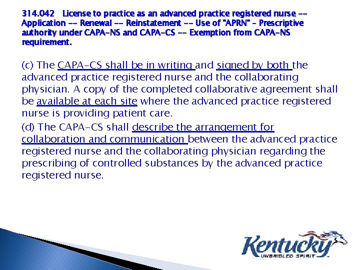 314. 042 License to practice as an advanced practice registered nurse -Application -- Renewal