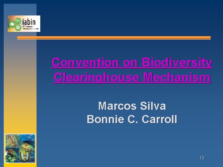 Convention on Biodiversity Clearinghouse Mechanism Marcos Silva Bonnie C. Carroll 12 