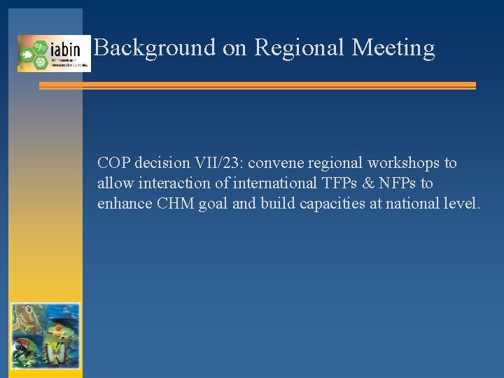 Background on Regional Meeting COP decision VII/23: convene regional workshops to allow interaction of