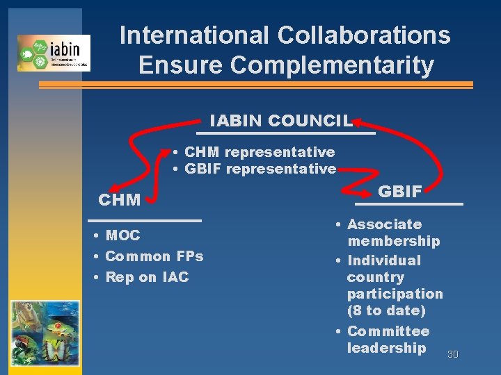 International Collaborations Ensure Complementarity IABIN COUNCIL • CHM representative • GBIF representative CHM •