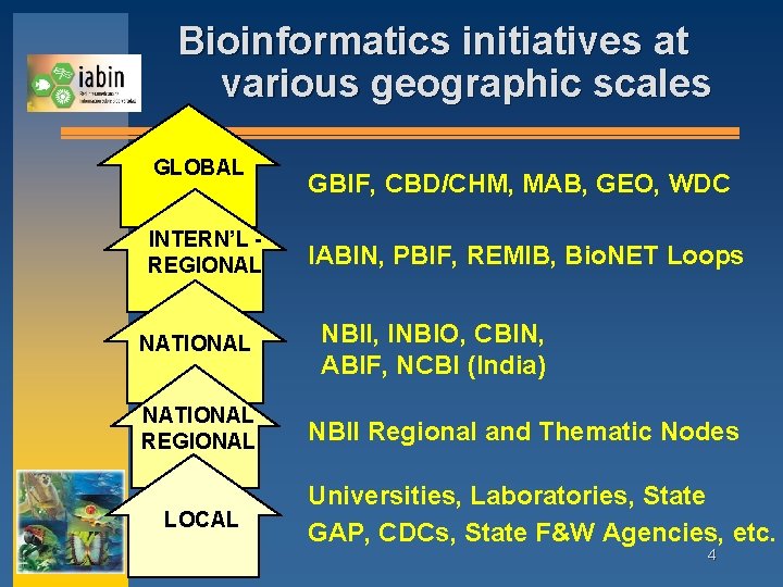 Bioinformatics initiatives at various geographic scales GLOBAL INTERN’L REGIONAL NATIONAL REGIONAL LOCAL GBIF, CBD/CHM,