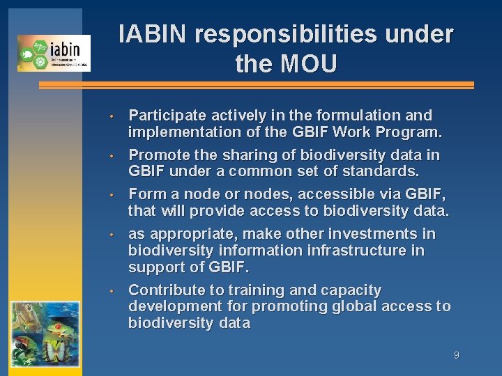 IABIN responsibilities under the MOU • • • Participate actively in the formulation and