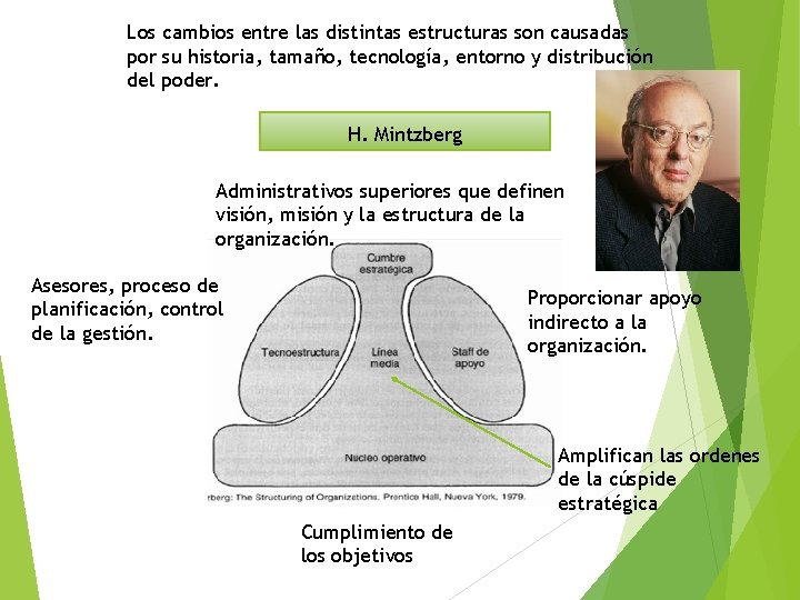 Los cambios entre las distintas estructuras son causadas por su historia, tamaño, tecnología, entorno