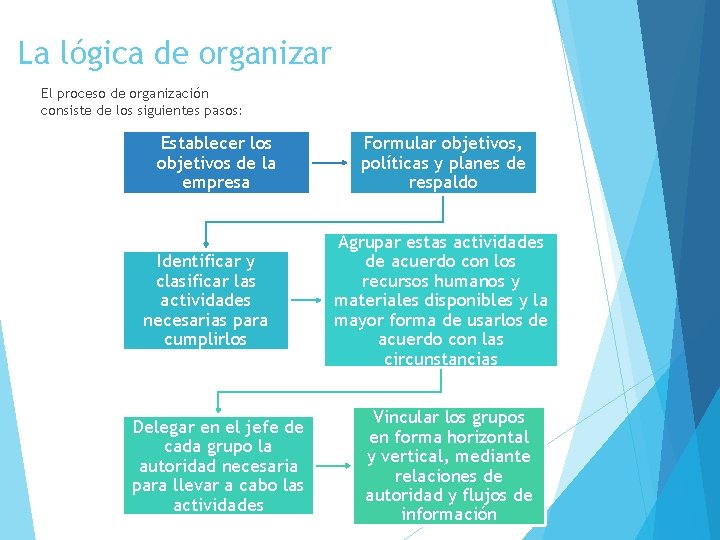 La lógica de organizar El proceso de organización consiste de los siguientes pasos: Establecer