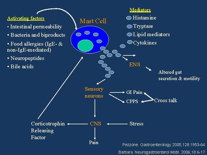 Mediators Activating factors • Intestinal permeability Mast Cell • Bacteria and biproducts • Food