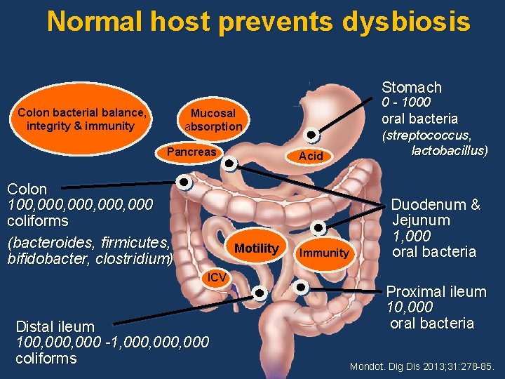 Normal host prevents dysbiosis Stomach Colon bacterial balance, integrity & immunity 0 - 1000