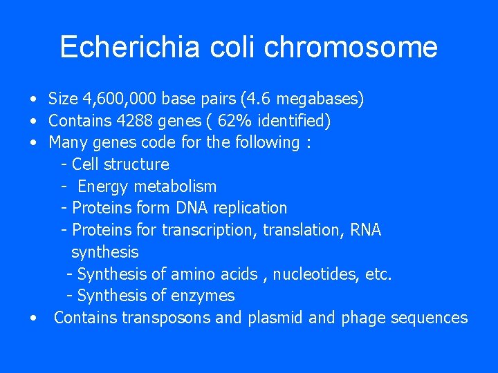 Echerichia coli chromosome • Size 4, 600, 000 base pairs (4. 6 megabases) • Echerichia coli chromosome • Size 4, 600, 000 base pairs (4. 6 megabases) •