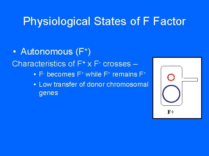 Physiological States of F Factor • Autonomous (F+) Characteristics of F+ x F- crosses Physiological States of F Factor • Autonomous (F+) Characteristics of F+ x F- crosses