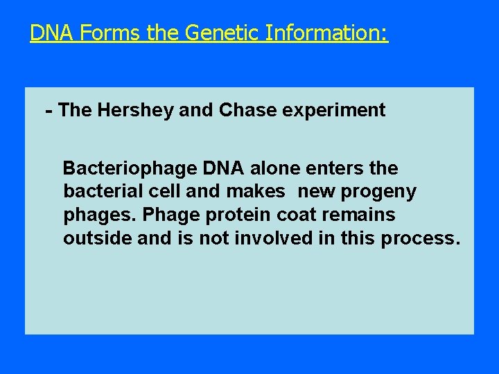 DNA Forms the Genetic Information: - The Hershey and Chase experiment Bacteriophage DNA alone