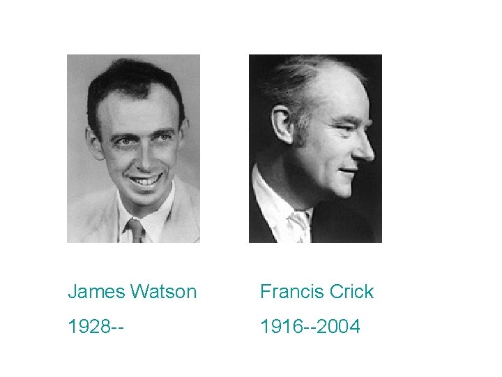 James Watson Francis Crick 1928 -- 1916 --2004 