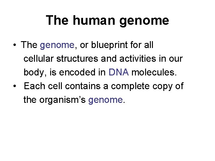 The human genome • The genome, or blueprint for all cellular structures and activities