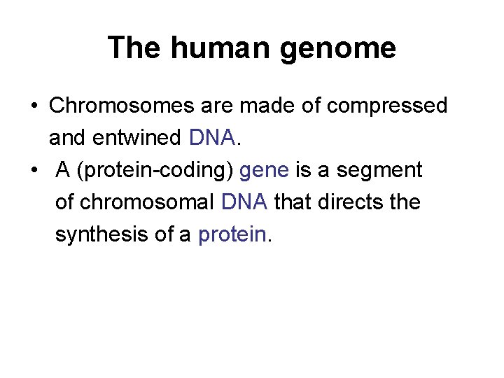 The human genome • Chromosomes are made of compressed and entwined DNA. • A