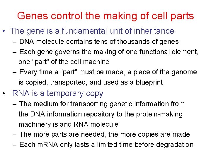 Genes control the making of cell parts • The gene is a fundamental unit
