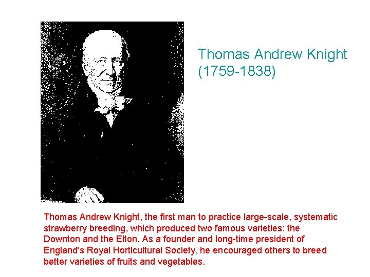 Thomas Andrew Knight (1759 -1838) Thomas Andrew Knight, the first man to practice large-scale,