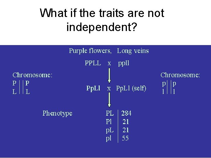 What if the traits are not independent? 