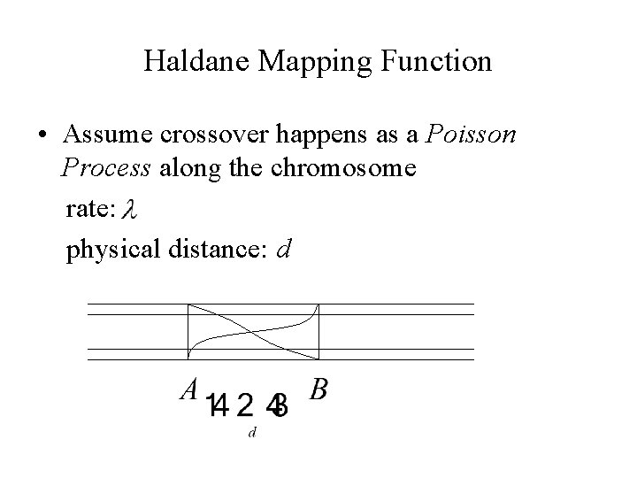 Haldane Mapping Function • Assume crossover happens as a Poisson Process along the chromosome