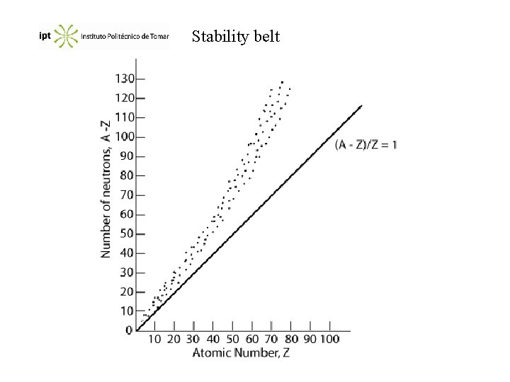 Stability belt 