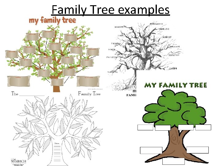 Family Tree examples 