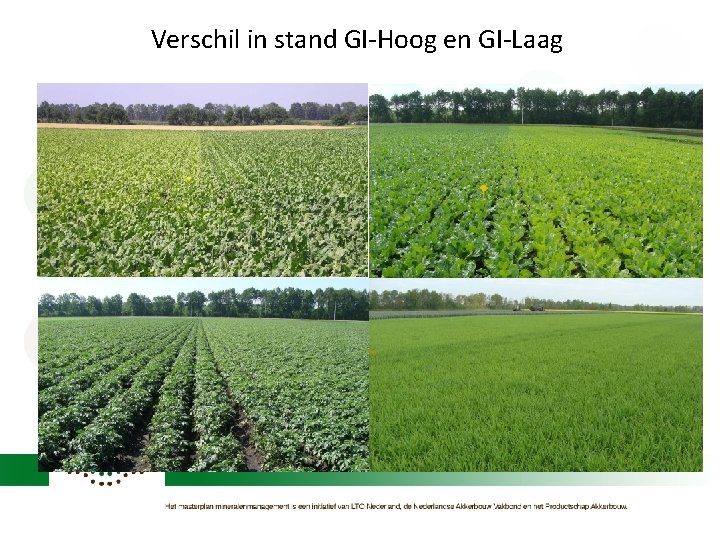 Verschil in stand GI-Hoog en GI-Laag 