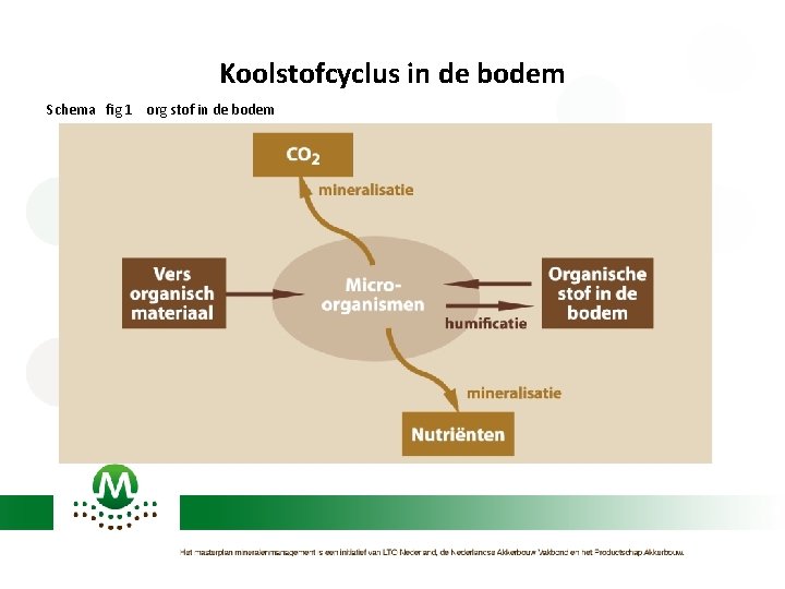 Koolstofcyclus in de bodem Schema fig 1 org stof in de bodem 