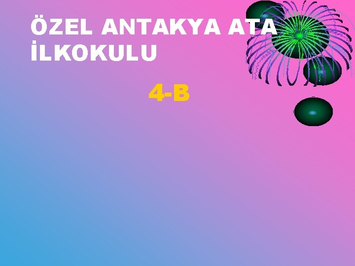 ÖZEL ANTAKYA ATA İLKOKULU 4 -B 